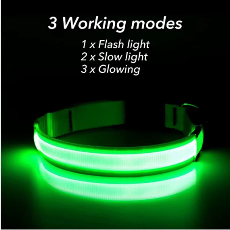 Collar LED Recargable para Perros