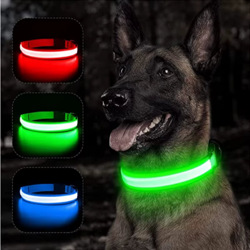 Collar LED Recargable para Perros