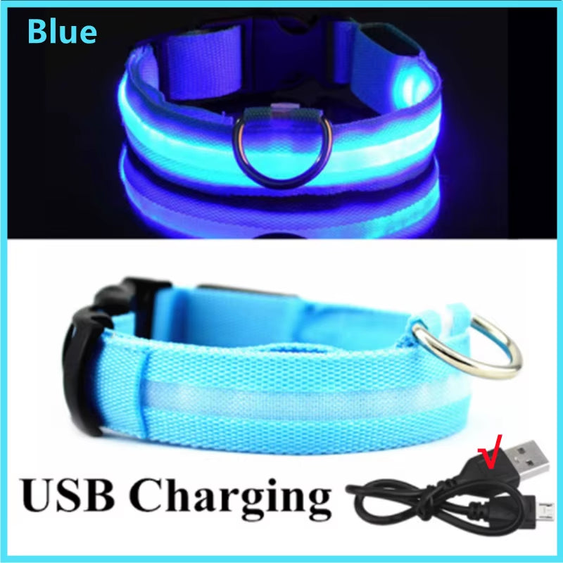 Collar LED Recargable para Perros